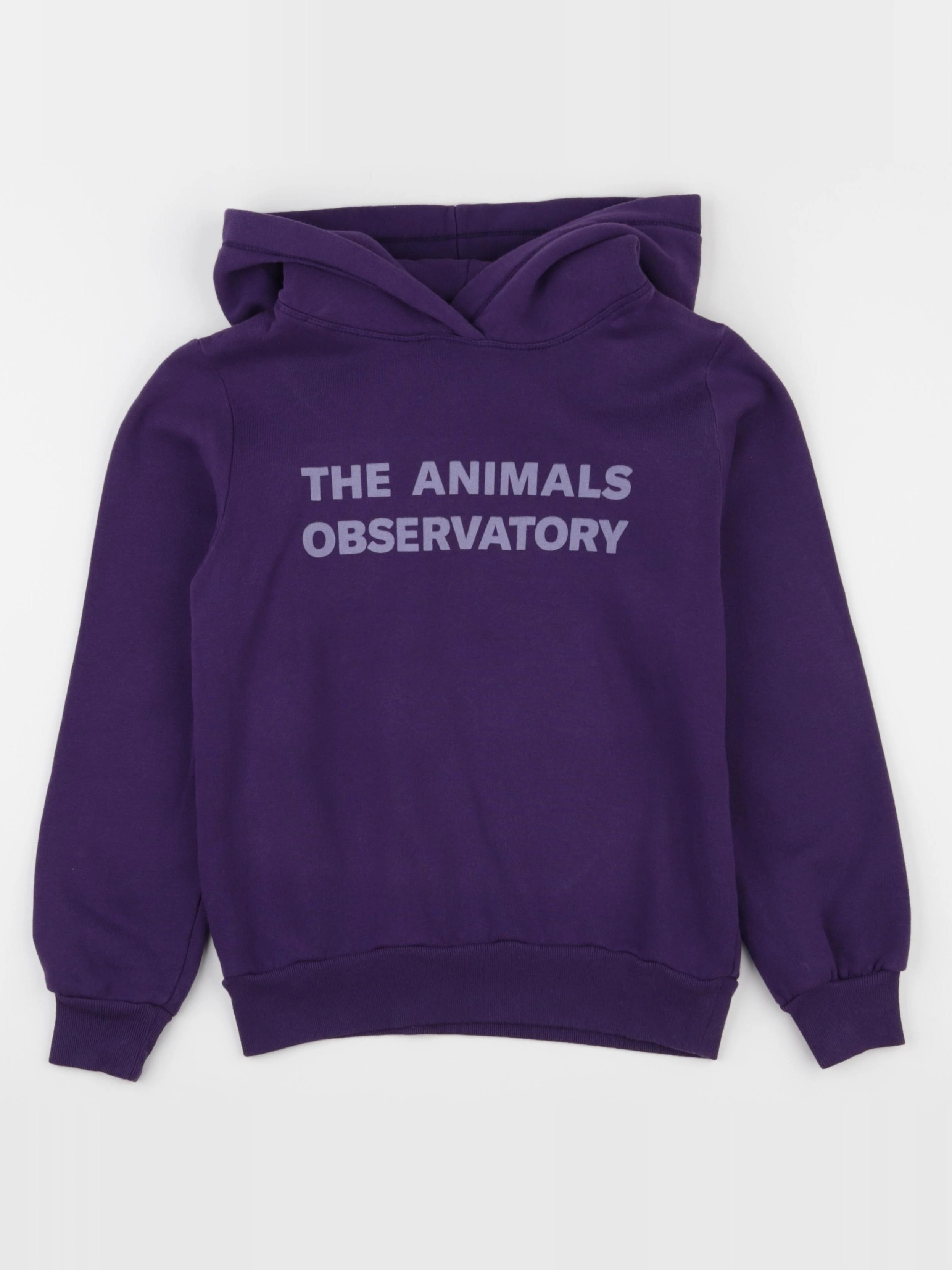 The animals observatory - sweat violet - 8 ans
