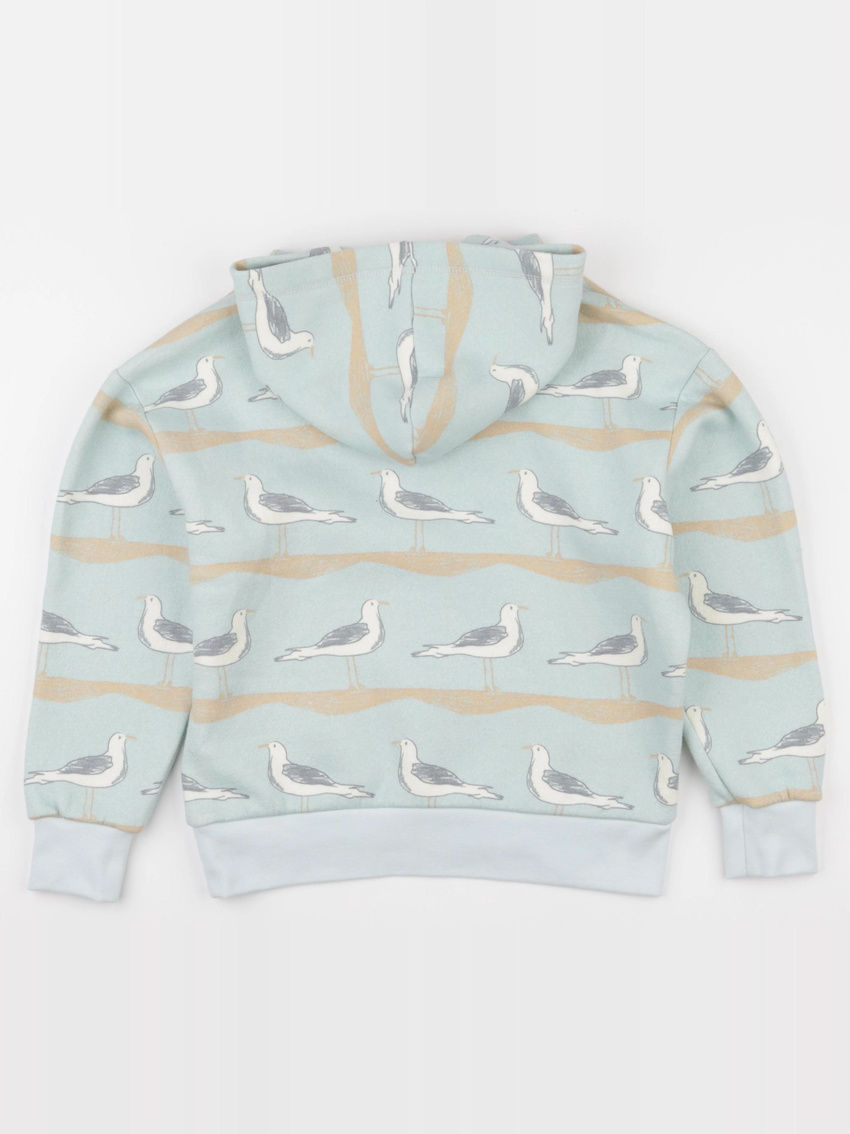 The animals observatory - sweat bleu - 8 ans
