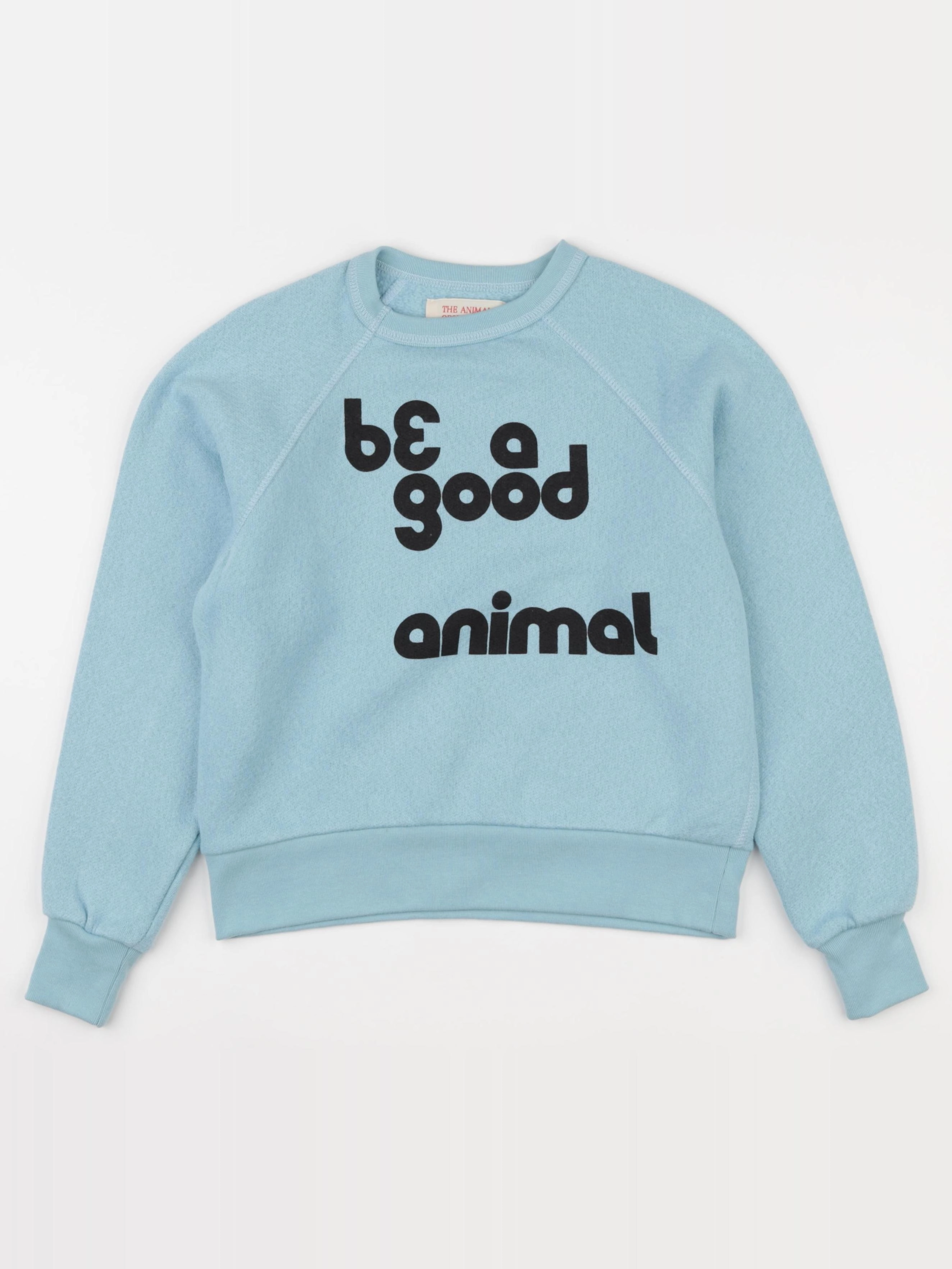 The animals observatory - sweat bleu - 8 ans