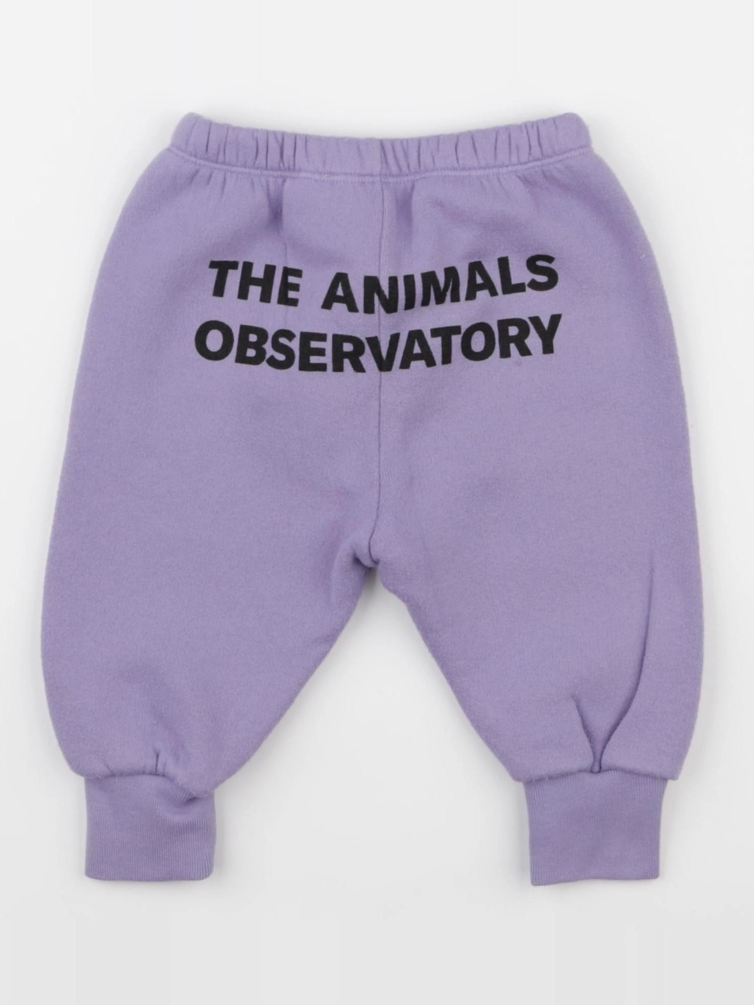 The animals observatory - jogging violet - 6 mois