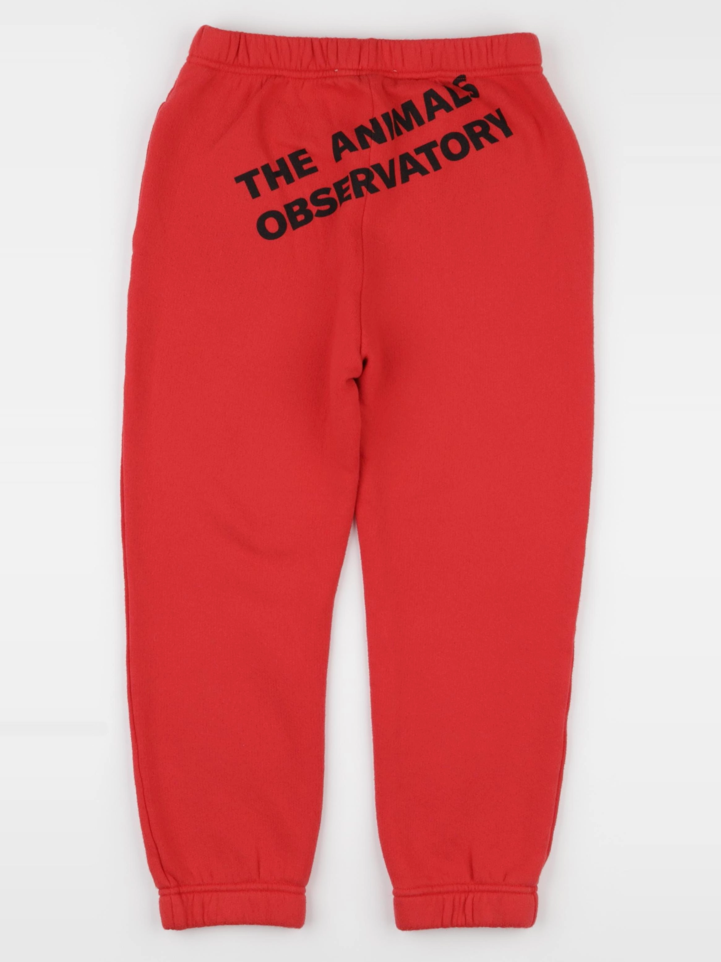 The animals observatory - jogging rouge - 8 ans