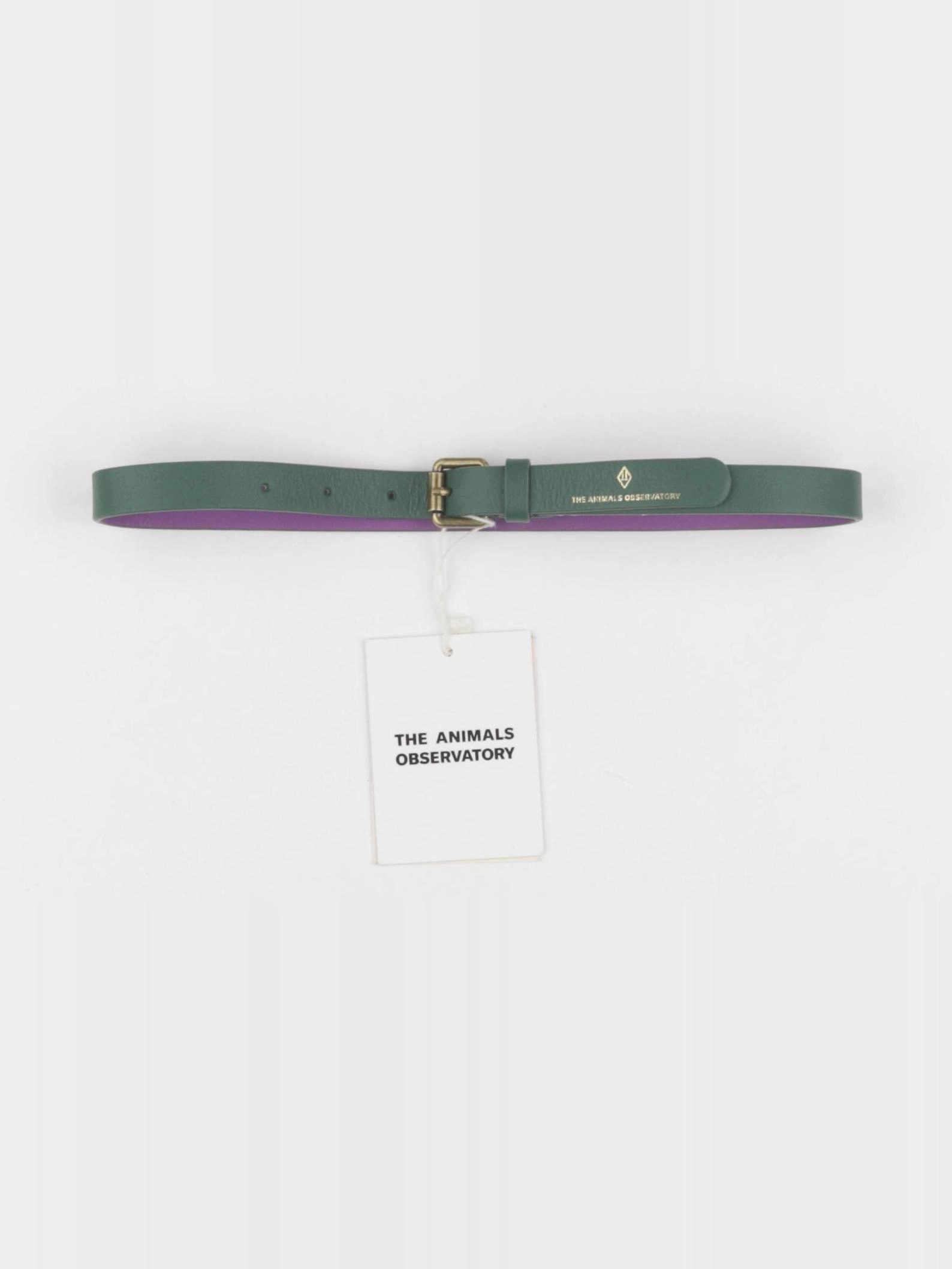 The animals observatory - ceinture vert - 6/10 ans