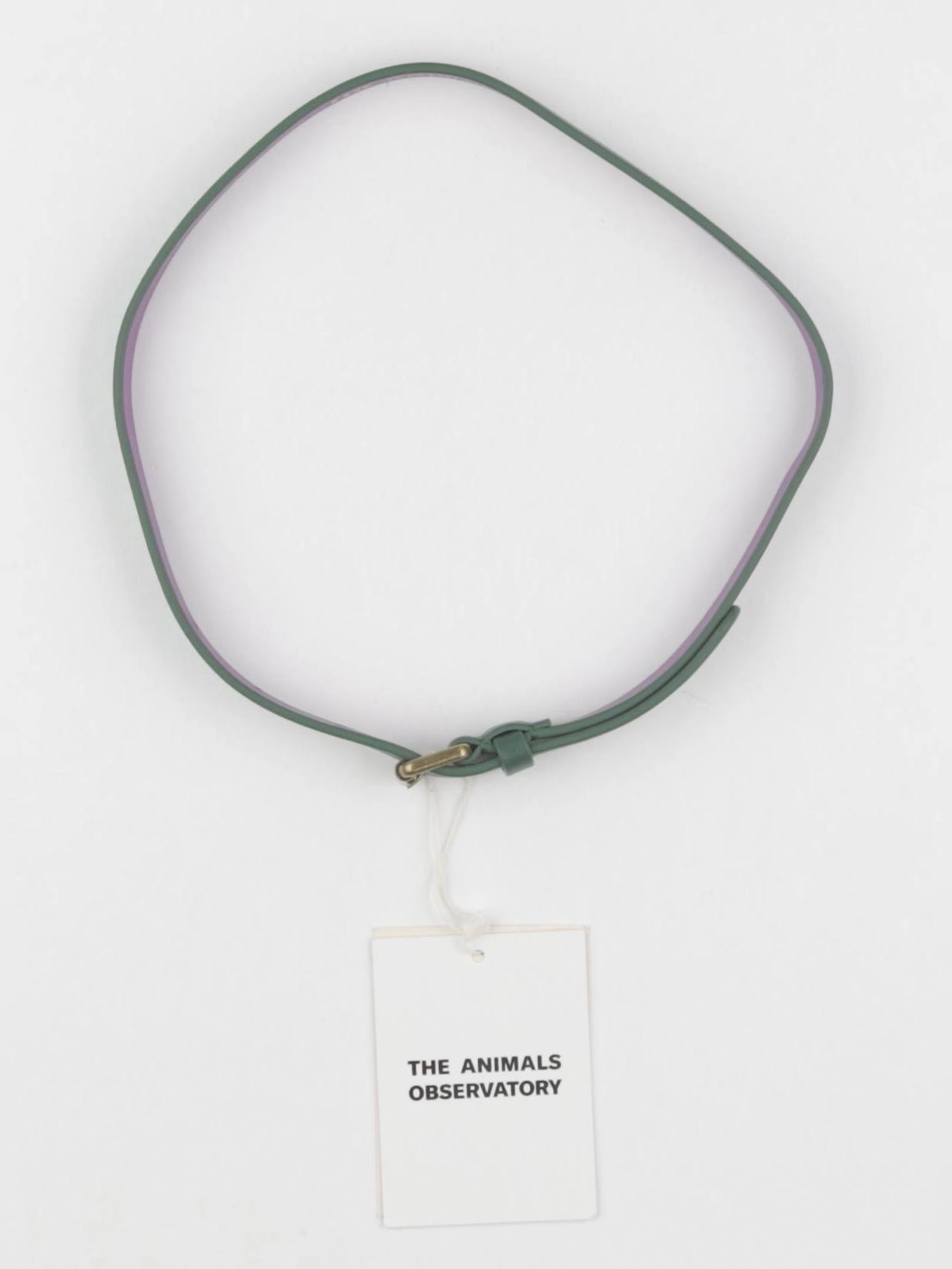The animals observatory - ceinture vert - 6/10 ans
