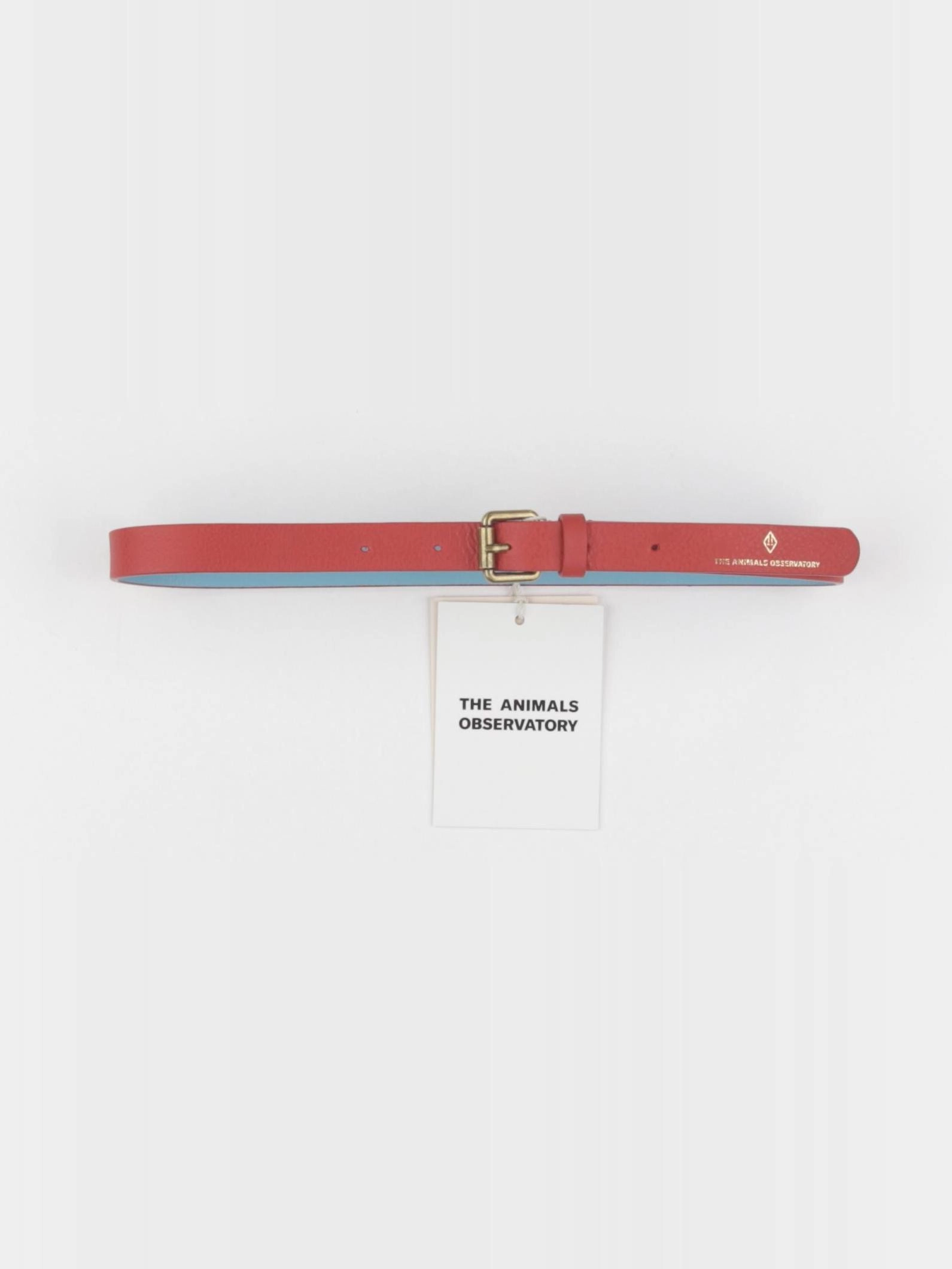 The animals observatory - ceinture rouge - 6/10 ans