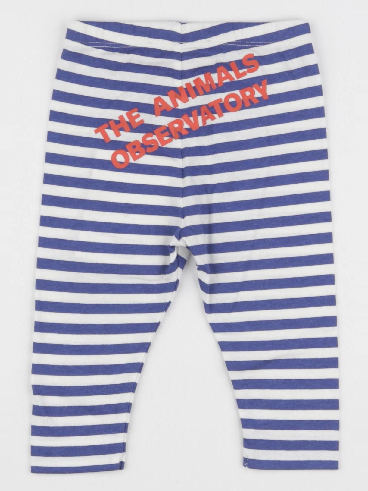 The animals observatory - legging bleu, blanc - 6 mois