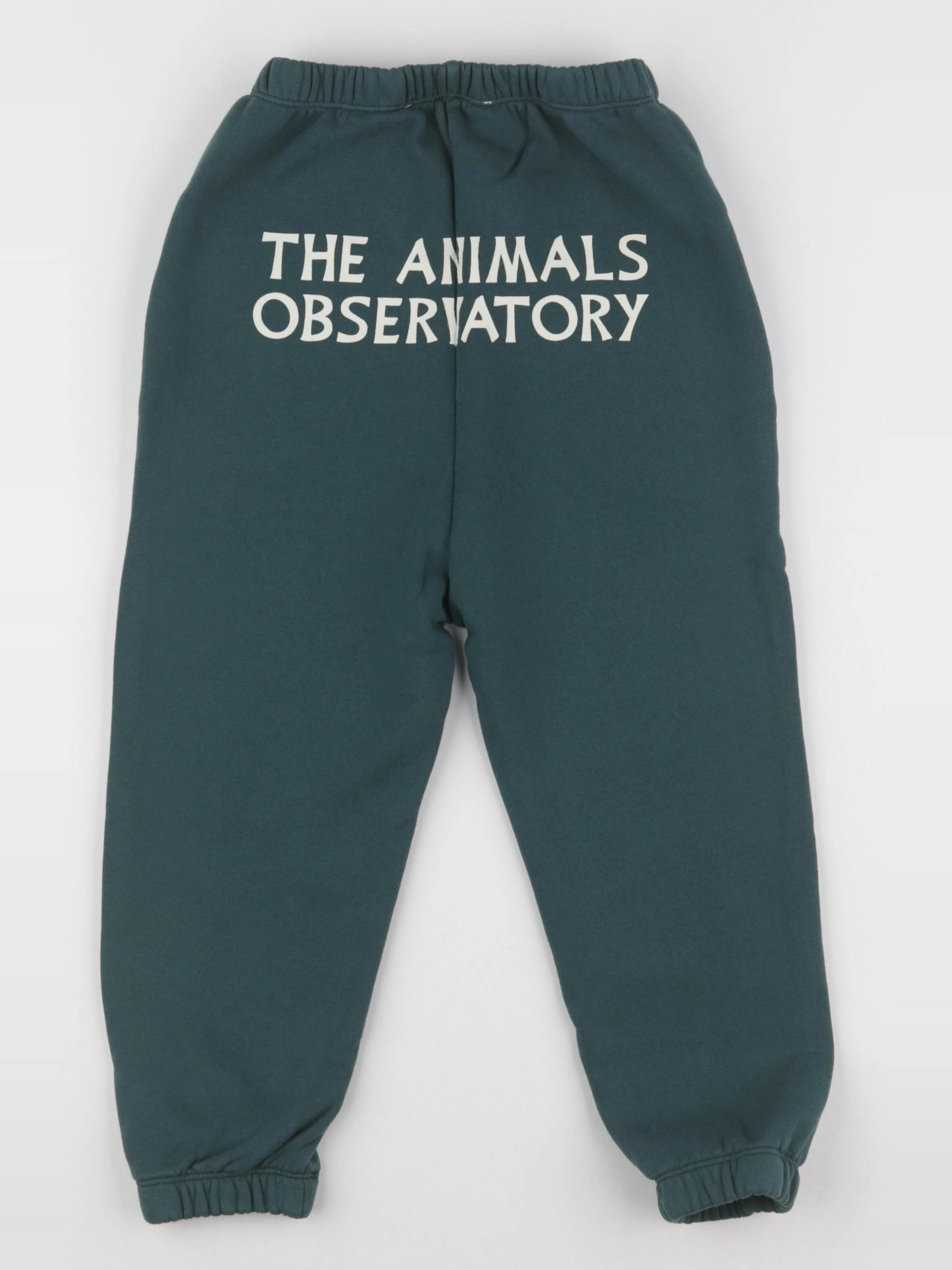The animals observatory - jogging vert DROMEDARY - 6 ans