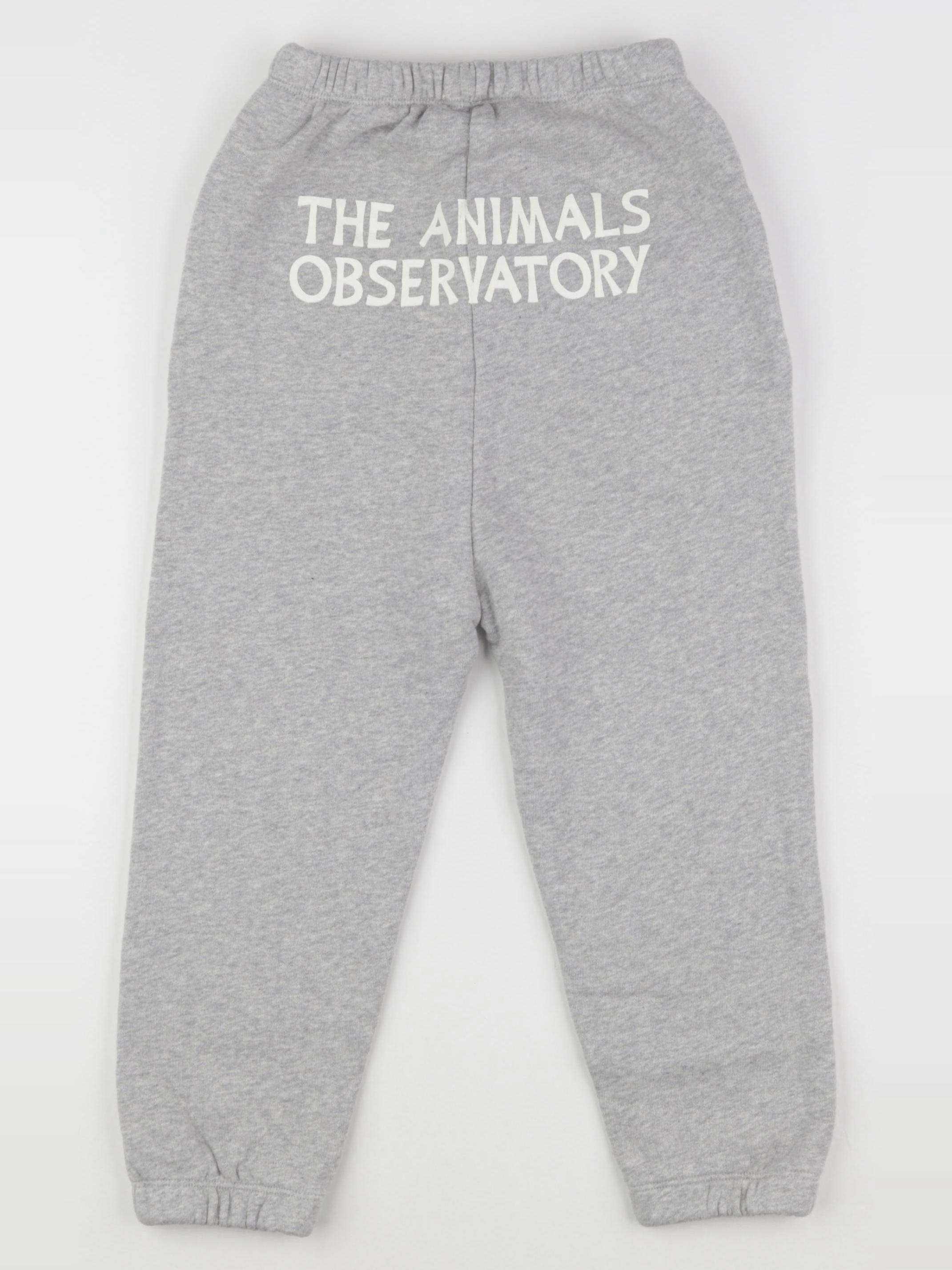 The animals observatory - jogging gris DROMEDARY - 6 ans