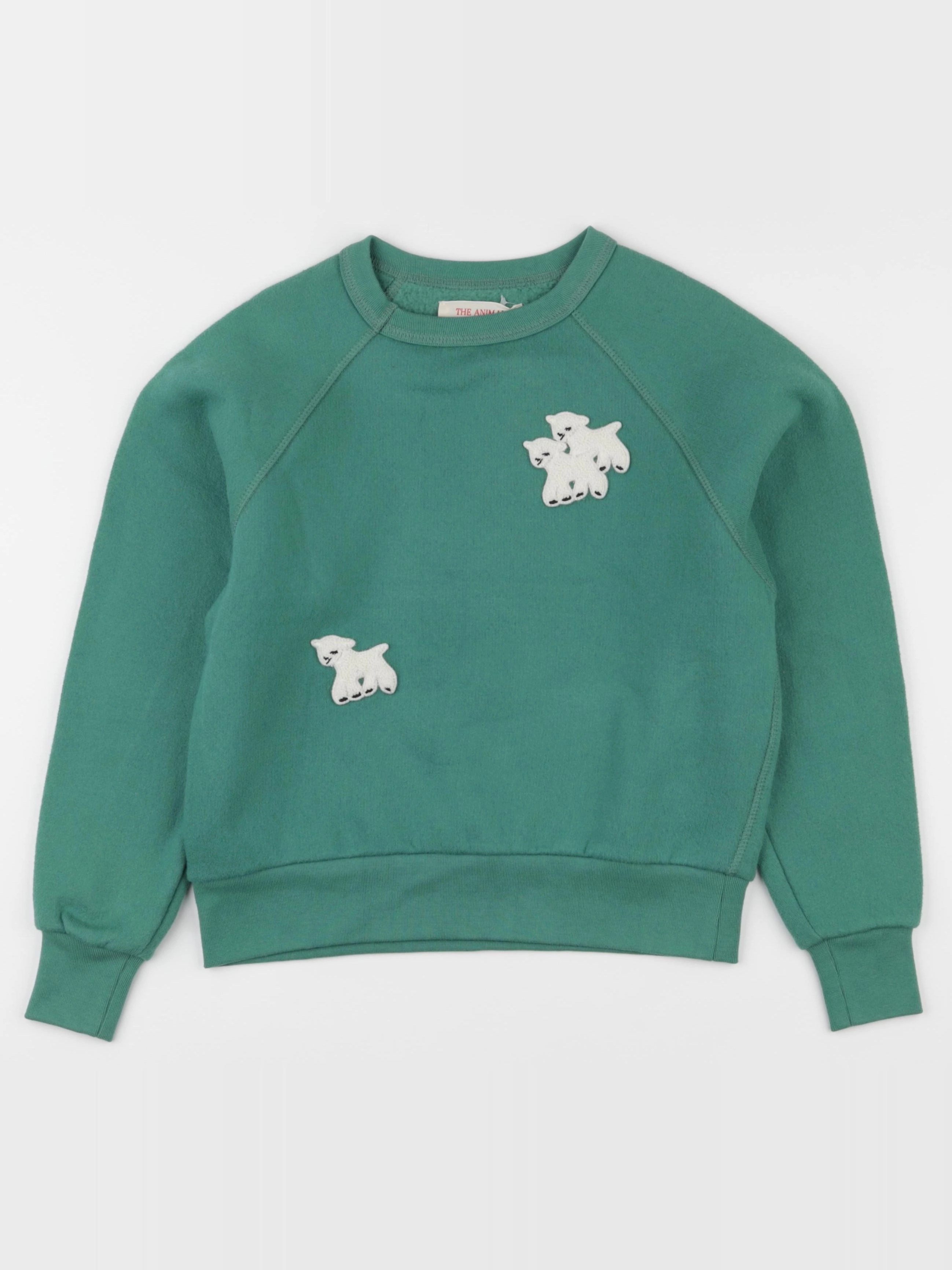 The animals observatory - sweat vert - 8 ans