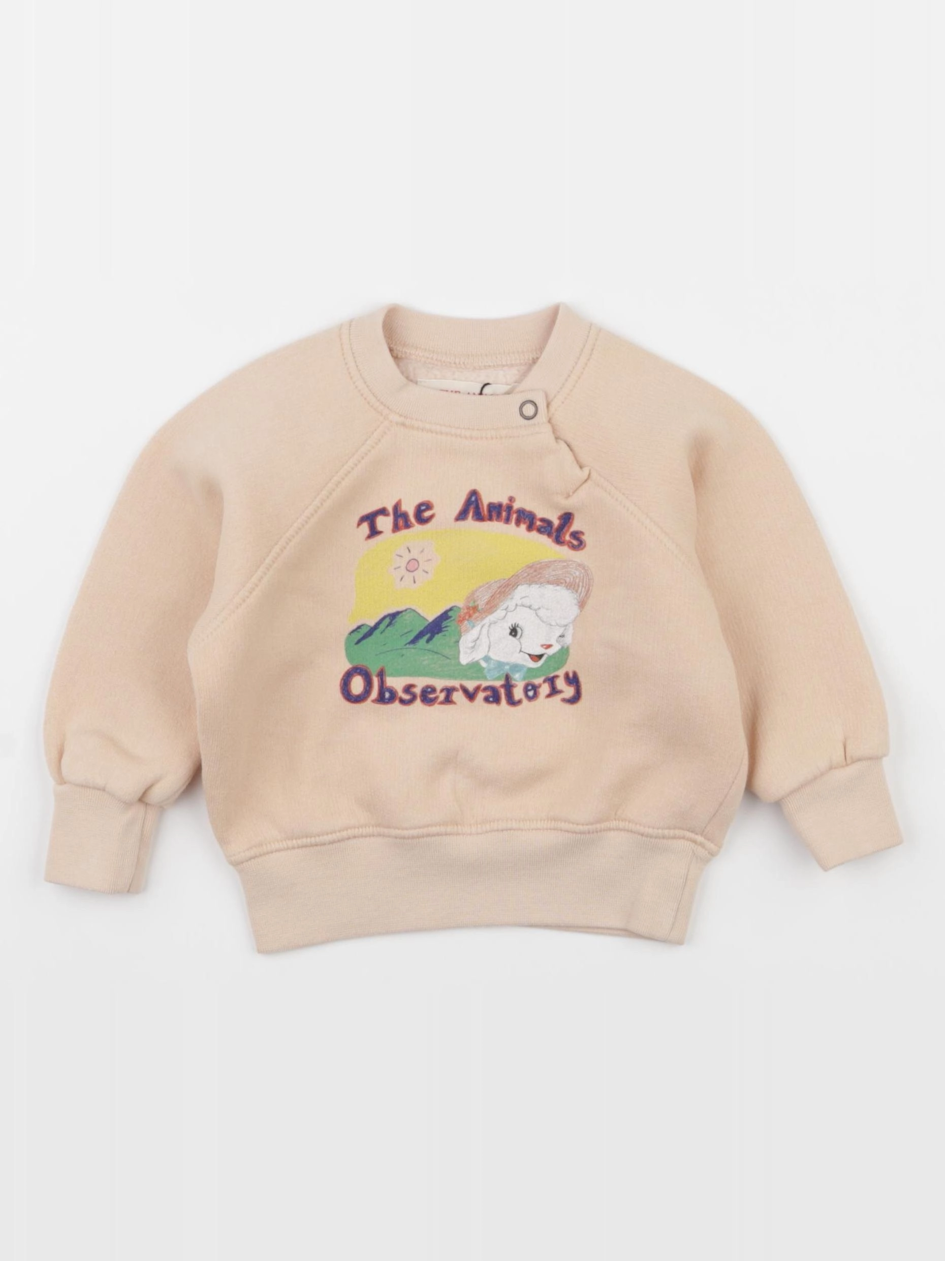 The animals observatory - sweat rose - 6 mois