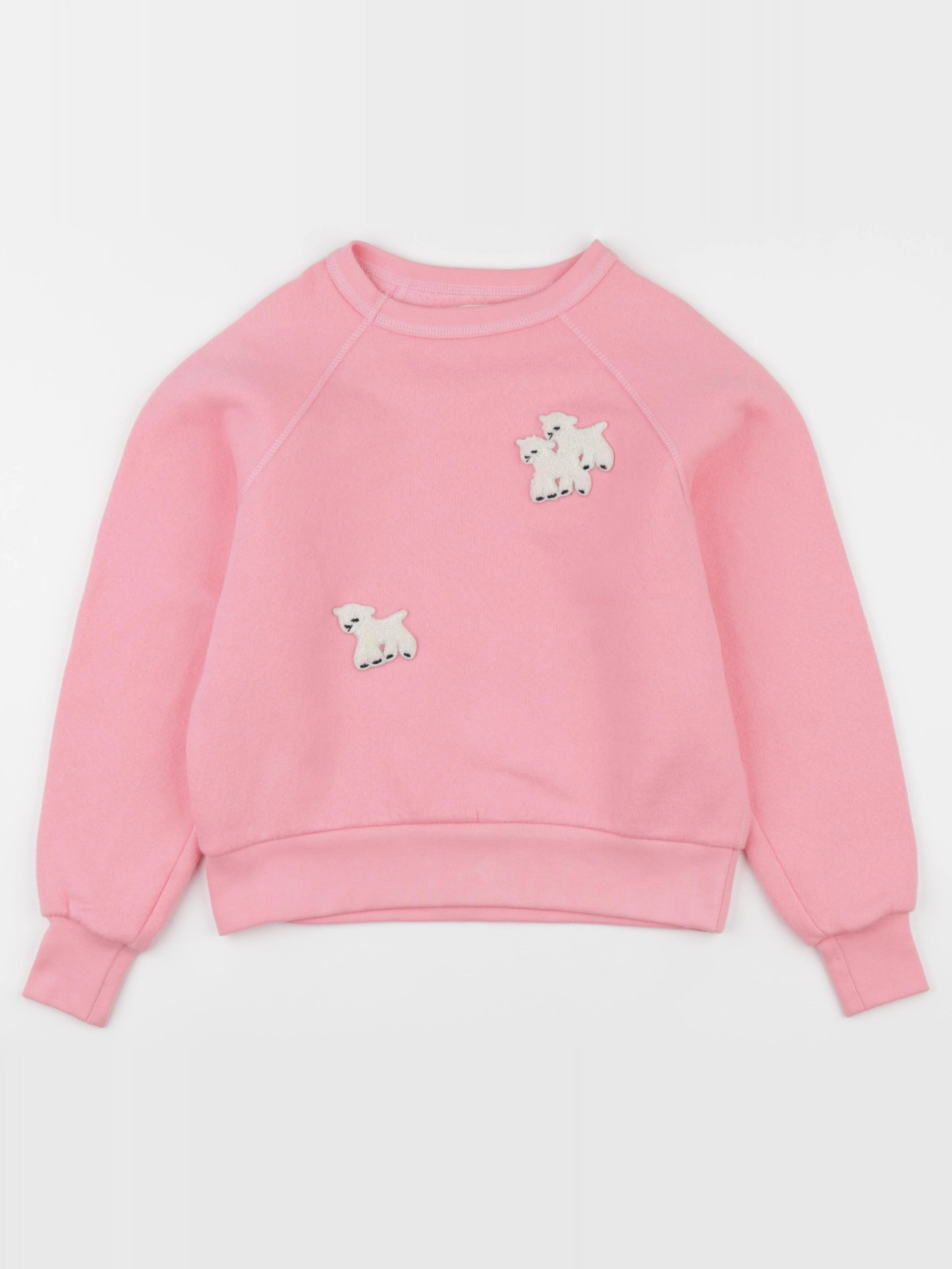 The animals observatory - sweat rose - 8 ans
