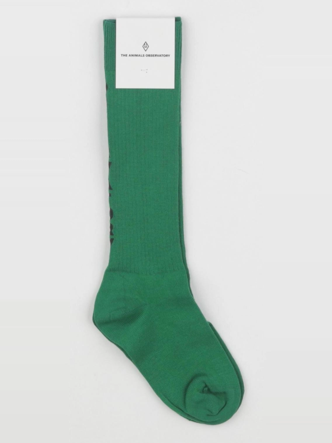 The animals observatory - chaussettes vert WORM - 4/7 ans