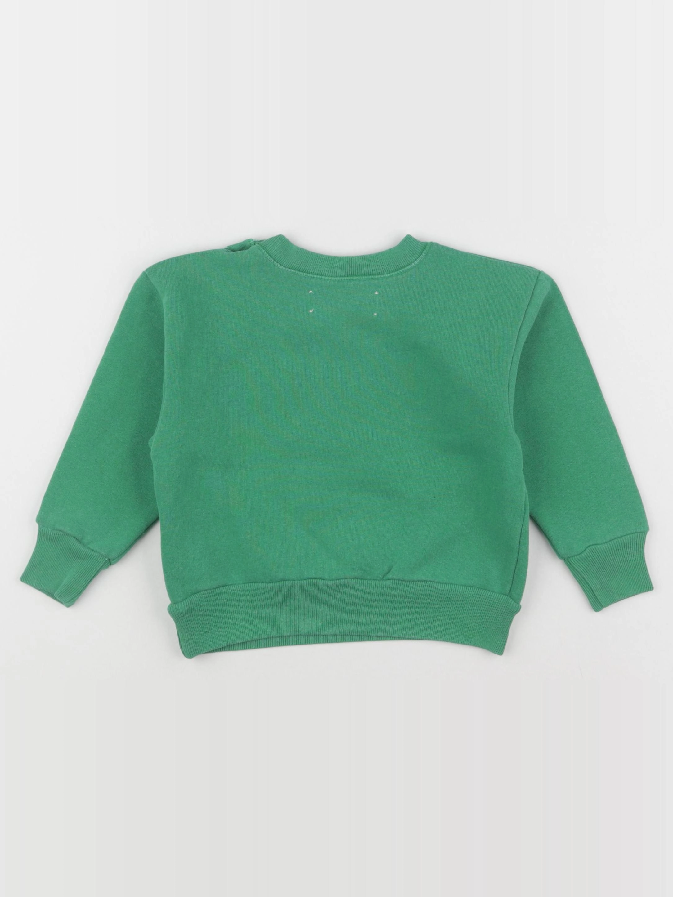 The animals observatory - sweat BEAR BABY vert - 12 mois