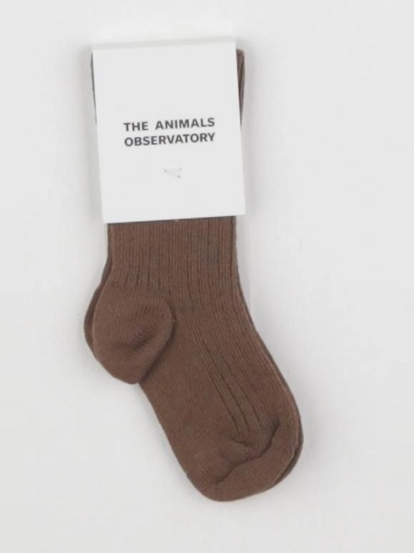 The animals observatory - chaussettes marron SNAIL - 12/18 mois