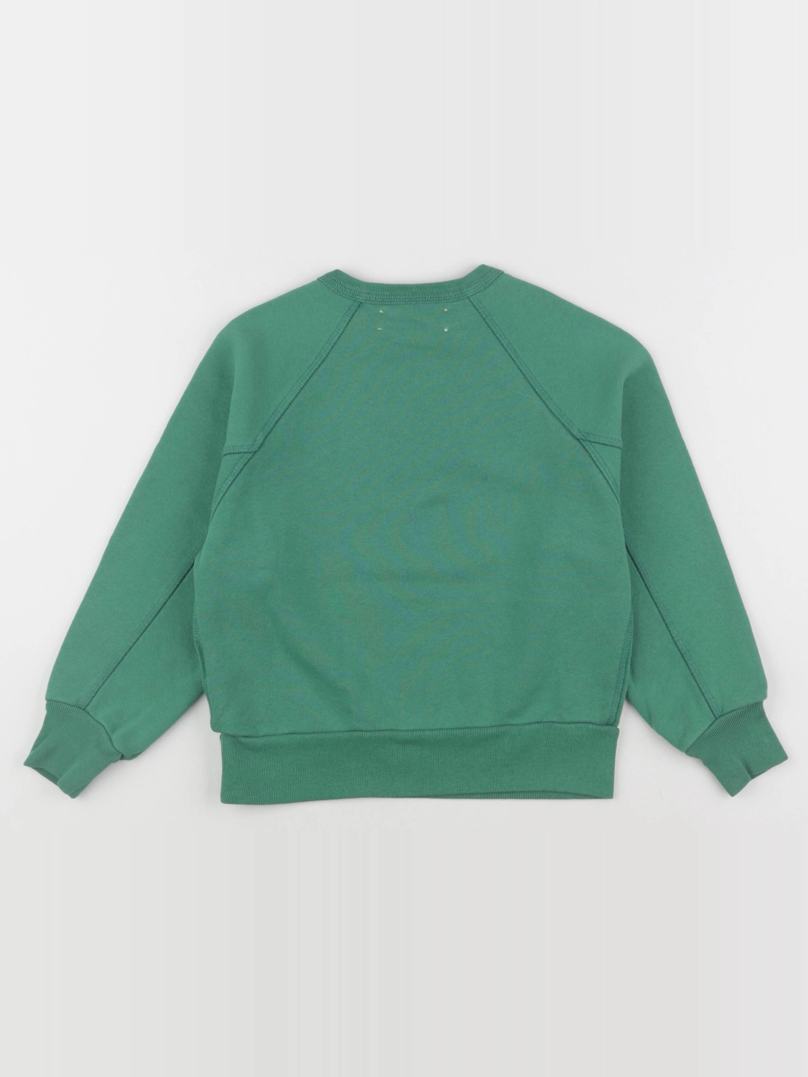The animals observatory - sweat SHARK vert - 4 ans