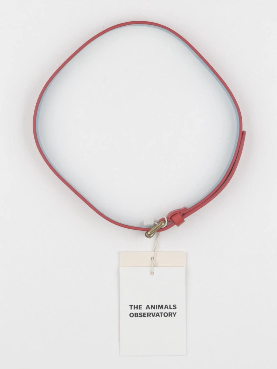 The animals observatory - ceinture rouge - 6/10 ans