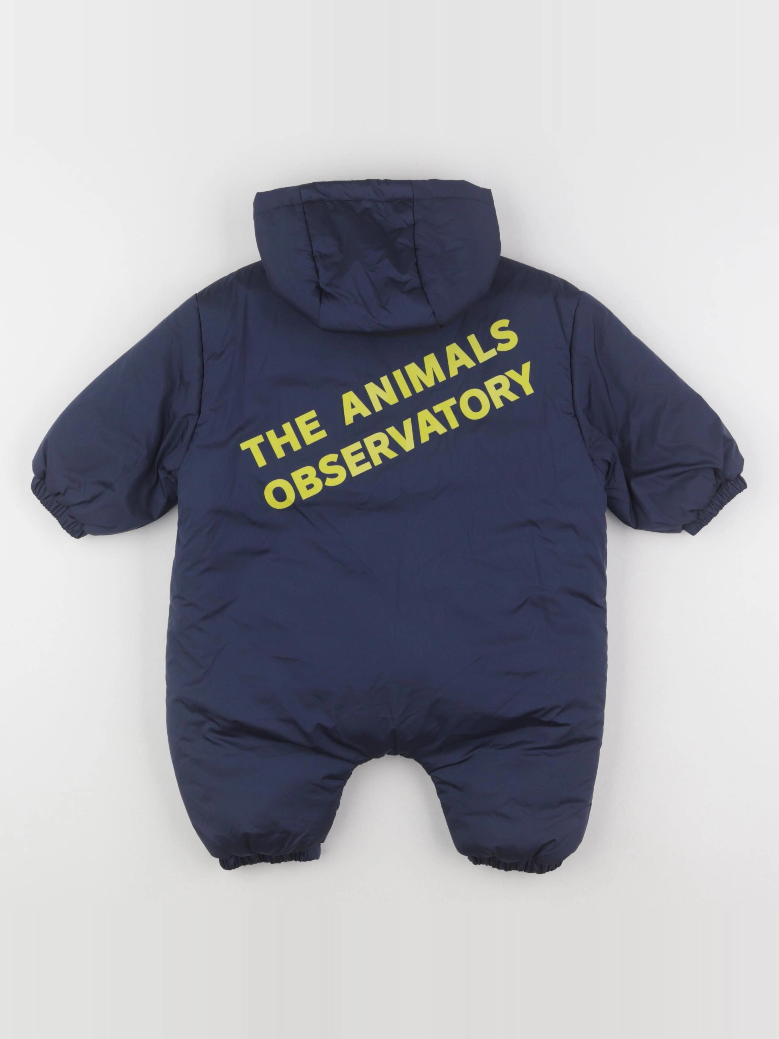 The animals observatory - combi-pilote bleu - 6 mois