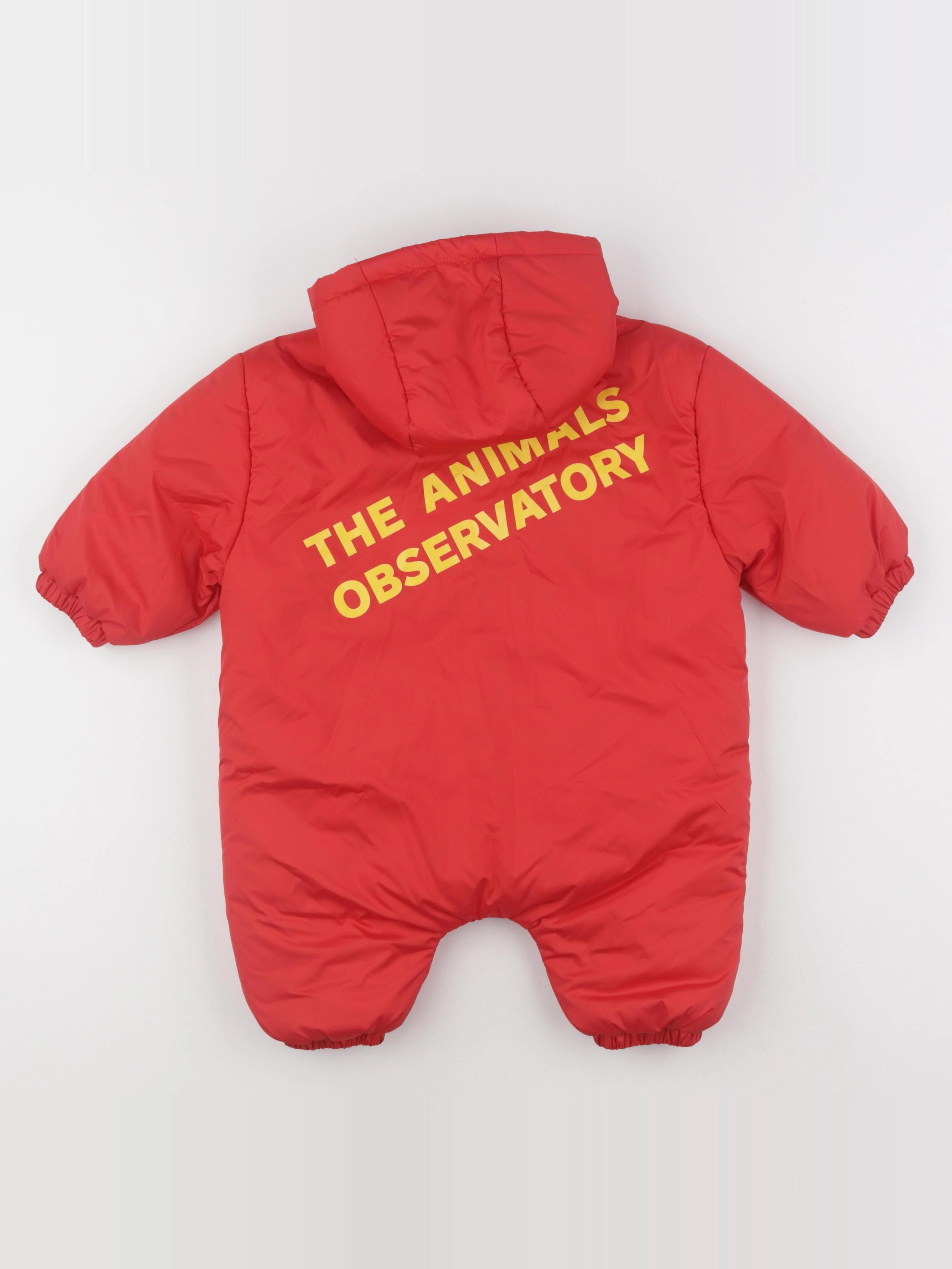 The animals observatory - combi-pilote rouge - 6 mois