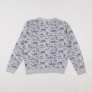 Petit Bateau - sweat gris - 10 ans