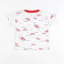 Petit Bateau - tee-shirt multicolore - 6 mois