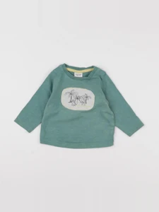 Tape à l'oeil - tee-shirt vert - 12 mois