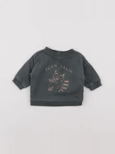 Vertbaudet - sweat vert - 3 mois