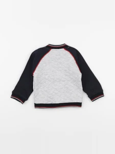 Terre de marins - sweat bleu, gris - 12 mois