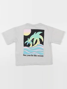 Zara - tee-shirt imprimé au dos gris - 2/3 ans