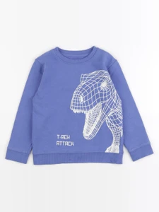 Vertbaudet - sweat bleu - 5 ans