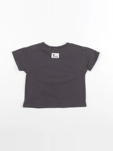 Zara - tee-shirt gris - 2 ans