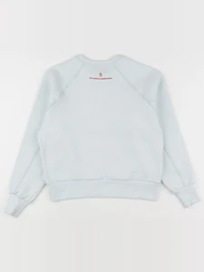 The animals observatory - sweat bleu - 8 ans