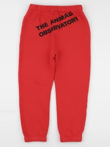 The animals observatory - jogging rouge - 8 ans