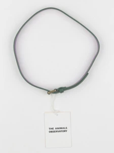 The animals observatory - ceinture vert - 6/10 ans