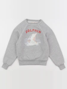 The animals observatory - sweat SHARK gris - 4 ans
