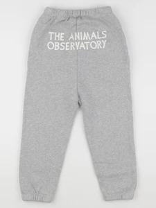 The animals observatory - jogging gris DROMEDARY - 6 ans