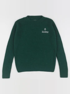 The animals observatory - pull vert - 8 ans