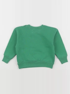 The animals observatory - sweat BEAR BABY vert - 12 mois