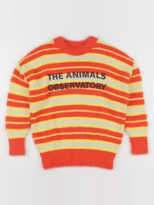 The animals observatory - pull multicolore - 8 ans