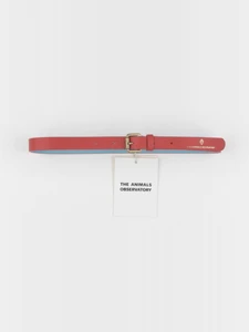 The animals observatory - ceinture rouge - 6/10 ans