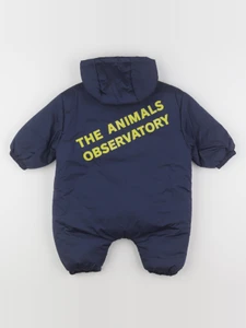 The animals observatory - combi-pilote bleu - 6 mois