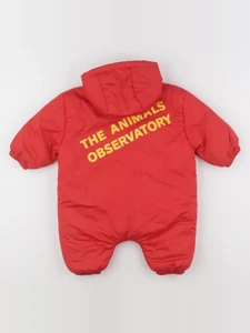 The animals observatory - combi-pilote rouge - 6 mois