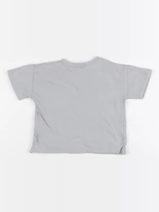 Zara - tee-shirt gris - 2 ans