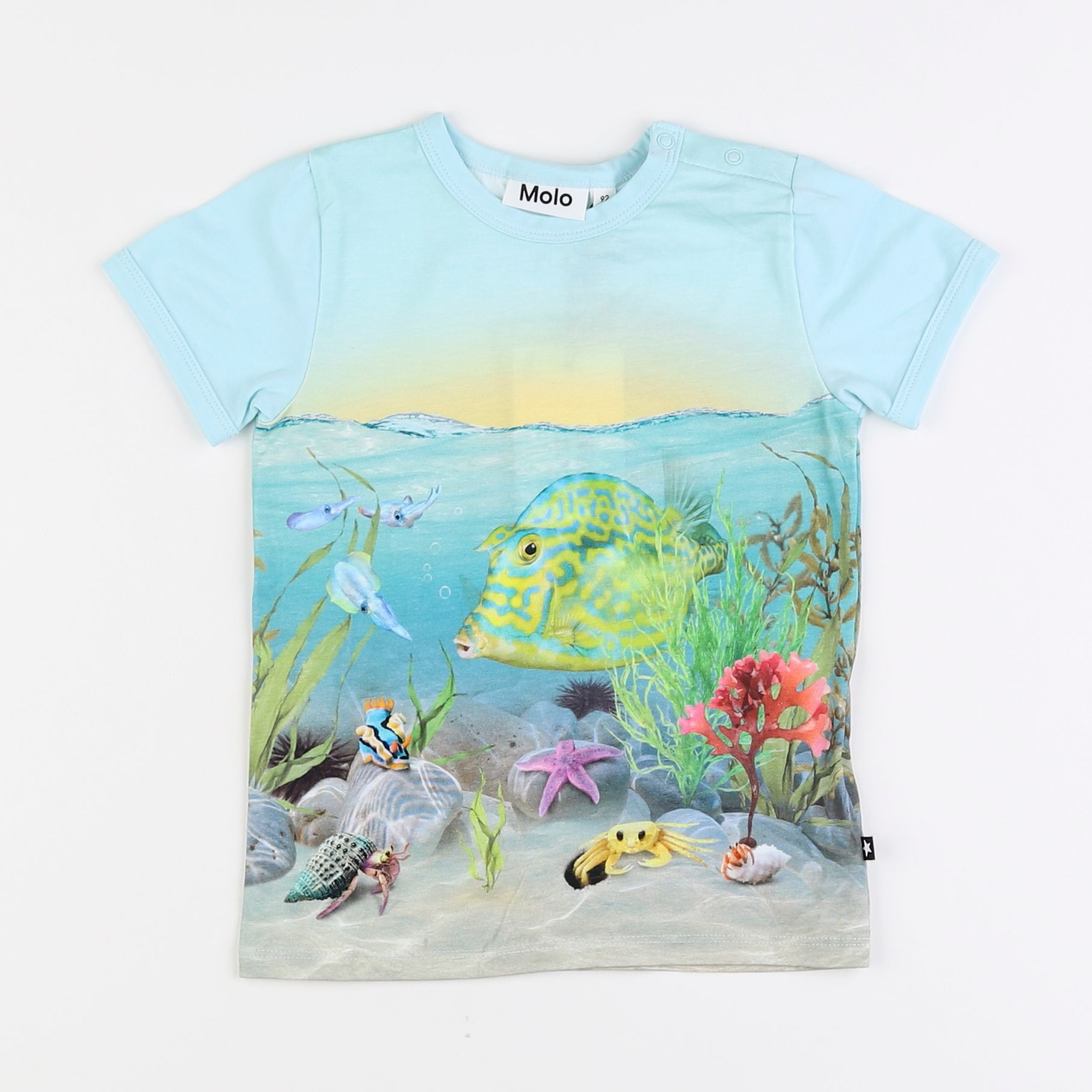 Molo - tee-shirt bleu - 2 ans