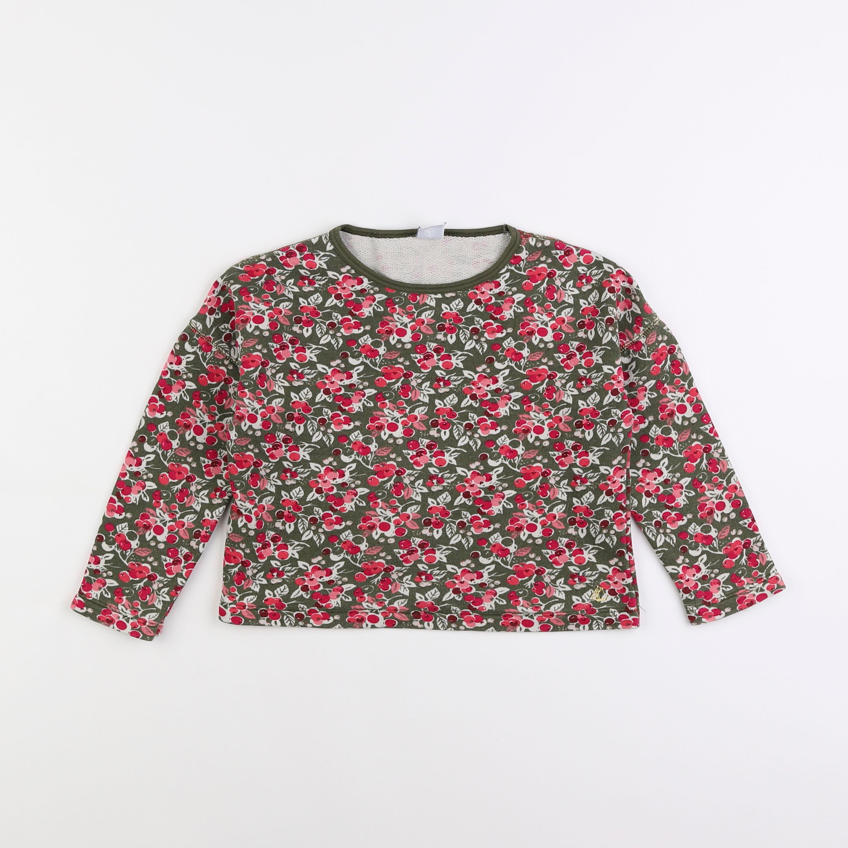 Petit Bateau - sweat multicolore - 5 ans